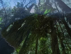 extant_XenaWarriorPrincess_2x04-GirlsJustWannaHaveFun_00035
