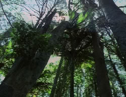extant_XenaWarriorPrincess_2x04-GirlsJustWannaHaveFun_00036