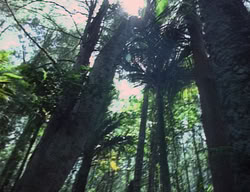 extant_XenaWarriorPrincess_2x04-GirlsJustWannaHaveFun_00037