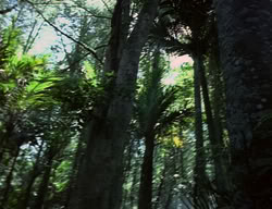 extant_XenaWarriorPrincess_2x04-GirlsJustWannaHaveFun_00038