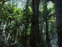 extant_XenaWarriorPrincess_2x04-GirlsJustWannaHaveFun_00039