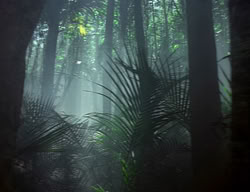 extant_XenaWarriorPrincess_2x04-GirlsJustWannaHaveFun_00042