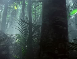 extant_XenaWarriorPrincess_2x04-GirlsJustWannaHaveFun_00043