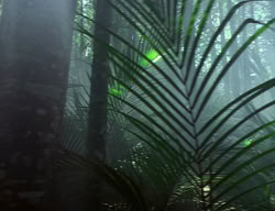 extant_XenaWarriorPrincess_2x04-GirlsJustWannaHaveFun_00045