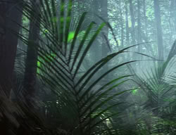 extant_XenaWarriorPrincess_2x04-GirlsJustWannaHaveFun_00046