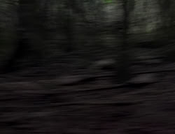 extant_XenaWarriorPrincess_2x04-GirlsJustWannaHaveFun_00050