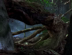 extant_XenaWarriorPrincess_2x04-GirlsJustWannaHaveFun_00056
