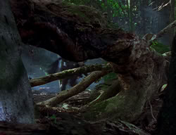 extant_XenaWarriorPrincess_2x04-GirlsJustWannaHaveFun_00057