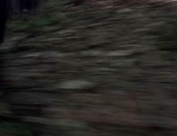extant_XenaWarriorPrincess_2x04-GirlsJustWannaHaveFun_00073