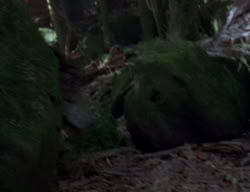 extant_XenaWarriorPrincess_2x04-GirlsJustWannaHaveFun_00083