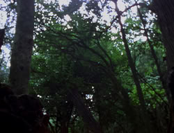 extant_XenaWarriorPrincess_2x04-GirlsJustWannaHaveFun_00100