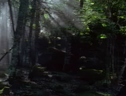 extant_XenaWarriorPrincess_2x04-GirlsJustWannaHaveFun_00130