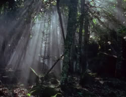 extant_XenaWarriorPrincess_2x04-GirlsJustWannaHaveFun_00132