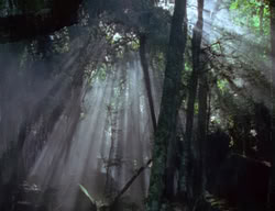 extant_XenaWarriorPrincess_2x04-GirlsJustWannaHaveFun_00133