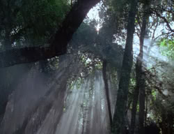 extant_XenaWarriorPrincess_2x04-GirlsJustWannaHaveFun_00134
