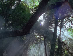 extant_XenaWarriorPrincess_2x04-GirlsJustWannaHaveFun_00135