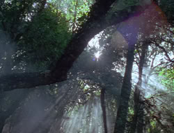 extant_XenaWarriorPrincess_2x04-GirlsJustWannaHaveFun_00136