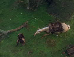 extant_XenaWarriorPrincess_2x04-GirlsJustWannaHaveFun_00144
