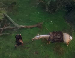 extant_XenaWarriorPrincess_2x04-GirlsJustWannaHaveFun_00145