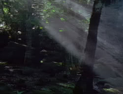 extant_XenaWarriorPrincess_2x04-GirlsJustWannaHaveFun_00155