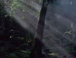 extant_XenaWarriorPrincess_2x04-GirlsJustWannaHaveFun_00156