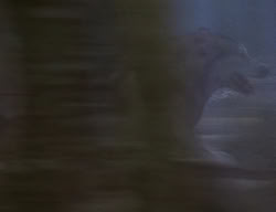 extant_XenaWarriorPrincess_2x04-GirlsJustWannaHaveFun_00229