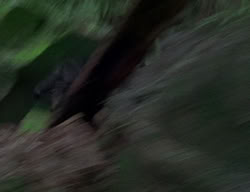 extant_XenaWarriorPrincess_2x04-GirlsJustWannaHaveFun_00233