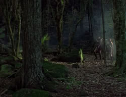 extant_XenaWarriorPrincess_2x04-GirlsJustWannaHaveFun_00236