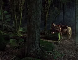 extant_XenaWarriorPrincess_2x04-GirlsJustWannaHaveFun_00240