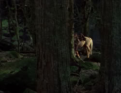 extant_XenaWarriorPrincess_2x04-GirlsJustWannaHaveFun_00245