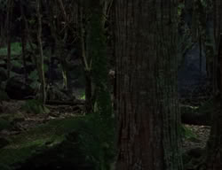 extant_XenaWarriorPrincess_2x04-GirlsJustWannaHaveFun_00246