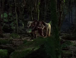 extant_XenaWarriorPrincess_2x04-GirlsJustWannaHaveFun_00248