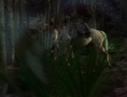 extant_XenaWarriorPrincess_2x04-GirlsJustWannaHaveFun_00255