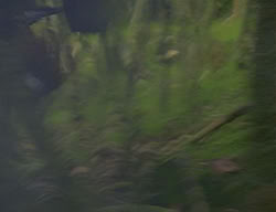 extant_XenaWarriorPrincess_2x04-GirlsJustWannaHaveFun_00287