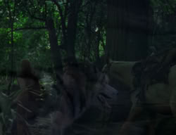 extant_XenaWarriorPrincess_2x04-GirlsJustWannaHaveFun_00303