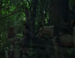 extant_XenaWarriorPrincess_2x04-GirlsJustWannaHaveFun_00304