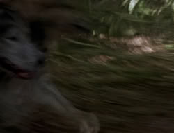 extant_XenaWarriorPrincess_2x04-GirlsJustWannaHaveFun_00312
