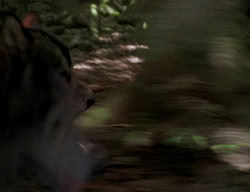 extant_XenaWarriorPrincess_2x04-GirlsJustWannaHaveFun_00313