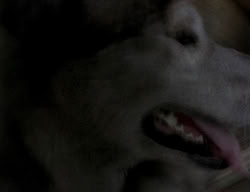 extant_XenaWarriorPrincess_2x04-GirlsJustWannaHaveFun_00314
