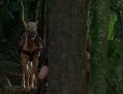 extant_XenaWarriorPrincess_2x04-GirlsJustWannaHaveFun_00321