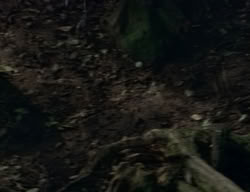 extant_XenaWarriorPrincess_2x04-GirlsJustWannaHaveFun_00358