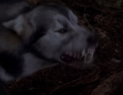 extant_XenaWarriorPrincess_2x04-GirlsJustWannaHaveFun_00368