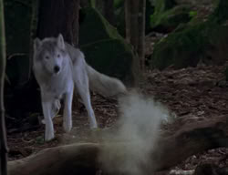 extant_XenaWarriorPrincess_2x04-GirlsJustWannaHaveFun_00370