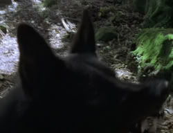 extant_XenaWarriorPrincess_2x04-GirlsJustWannaHaveFun_00381