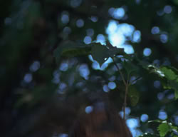 extant_XenaWarriorPrincess_2x04-GirlsJustWannaHaveFun_00384