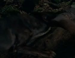 extant_XenaWarriorPrincess_2x04-GirlsJustWannaHaveFun_00389