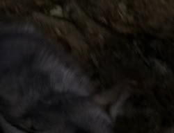 extant_XenaWarriorPrincess_2x04-GirlsJustWannaHaveFun_00394