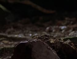 extant_XenaWarriorPrincess_2x04-GirlsJustWannaHaveFun_00396