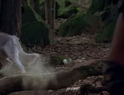 extant_XenaWarriorPrincess_2x04-GirlsJustWannaHaveFun_00399