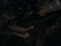 extant_XenaWarriorPrincess_2x04-GirlsJustWannaHaveFun_00400